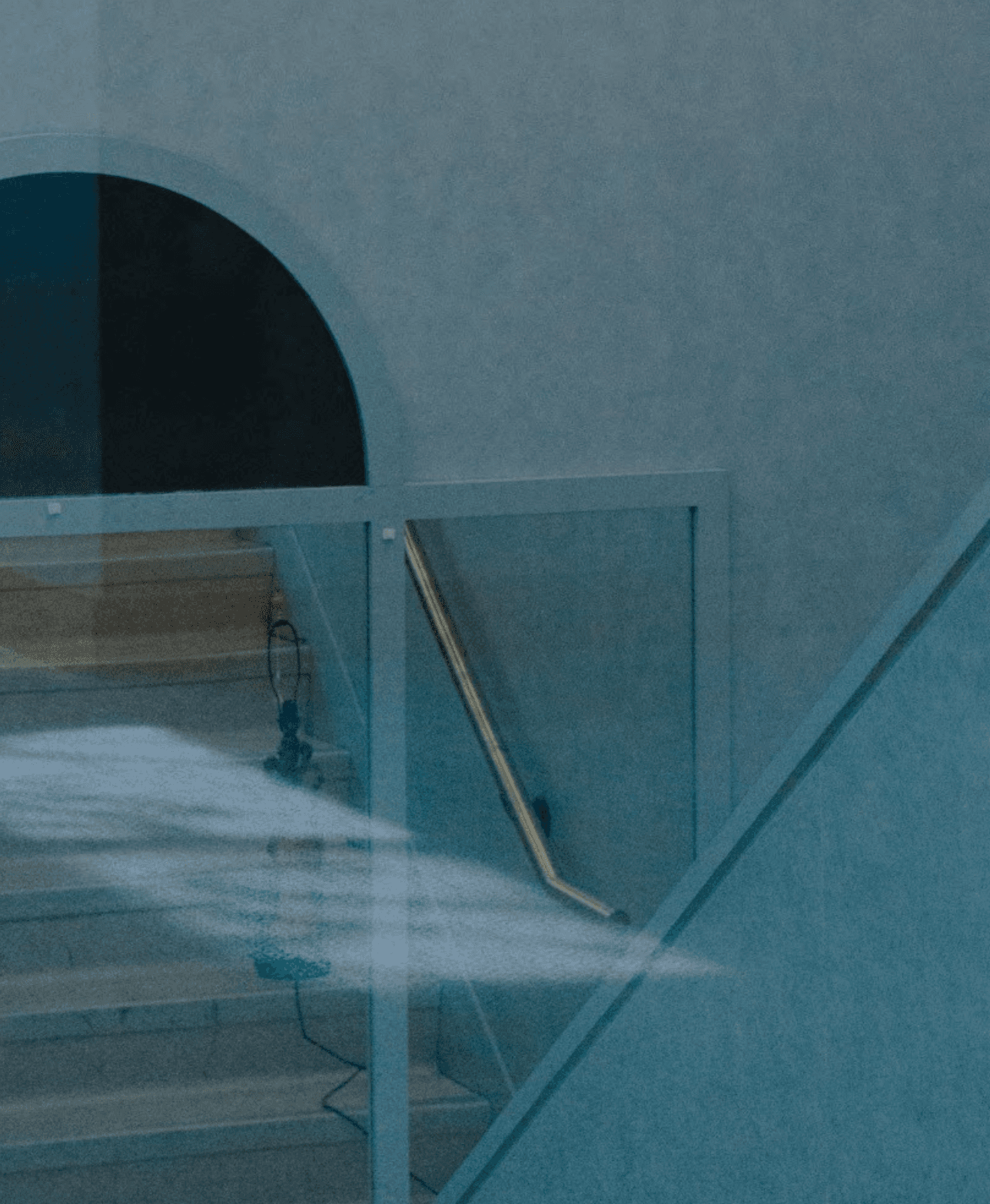 Issue No. 1 cover - Future of Vancouver Chinatown